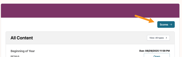 Student Scores_082925-1